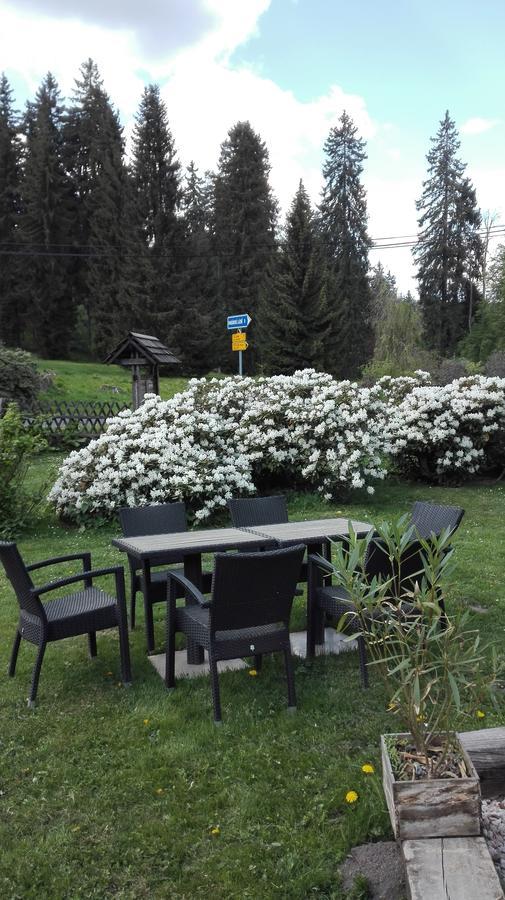 Apartment Chalet Kladska Mariënbad Buitenkant foto